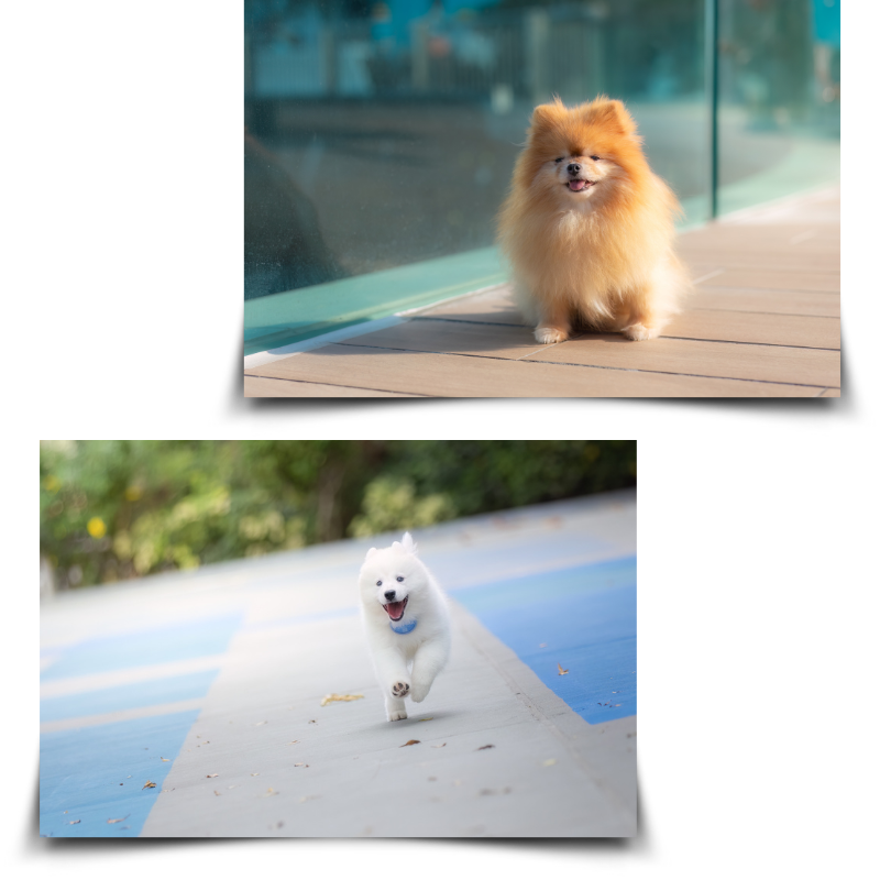 cpLauLandscapephotographyShowcase